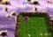 MarBall Odyssey image 6 thumbnail