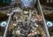 Marvel Pinball Android image 1 thumbnail