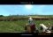 Medieval 2 Total War Demo