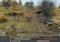 Men of War image 1 thumbnail