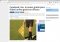 Microsoft Edge image 6 thumbnail