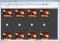Microsoft Expression Media image 1 thumbnail