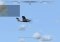 Microsoft Flight