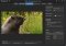 Microsoft Hyperlapse image 3 thumbnail