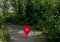 Microsoft Hyperlapse Android image 3 thumbnail