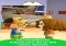 Miitomo iPhone image 3 thumbnail