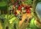 Minigore Android image 1 thumbnail