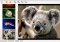 Mirage Linux image 1 thumbnail