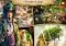 Mirrors of Albion image 3 thumbnail