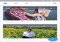 Moments Android image 3 thumbnail