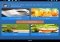 Mondly Android image 1 thumbnail
