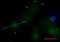 Mono image 2 thumbnail