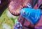 Monsters vs Aliens image 1 thumbnail
