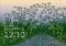 Mosaic Desktop image 4 thumbnail
