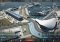 Motorsport Manager image 2 thumbnail