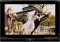 MPCStar image 1 thumbnail