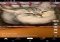 musical.ly Android image 3 thumbnail