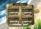 My Tribe image 5 thumbnail