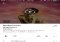 Napster iPhone image 7 thumbnail