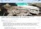 narwhal for reddit iPhone image 5 thumbnail