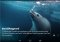 National Geographic Muzei Android image 6 thumbnail