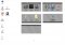Nimi Places image 3 thumbnail
