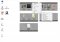 Nimi Places image 6 thumbnail