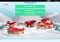 NORAD Tracks Santa Android image 2 thumbnail