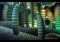 OIO image 7 thumbnail