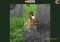 Omnitux image 4 thumbnail