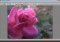 Open Freely image 4 thumbnail
