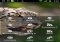 OpenRatio Android image 2 thumbnail