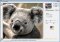 Outliner image 2 thumbnail