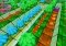 PacWriter image 1 thumbnail
