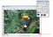 PaintStar image 1 thumbnail