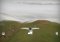 PaperPlane image 5 thumbnail