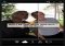 Perfectly Clear Android image 5 thumbnail