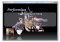 Performous image 4 thumbnail