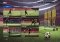 PES 2016 myClub - Pro Evolution Soccer image 3 thumbnail