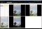 Photo Acute image 1 thumbnail