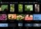 Photo Mate Android image 5 thumbnail