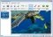 Photo Stamp Remover image 3 thumbnail