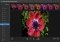 Photoshop Express Webapps image 2 thumbnail