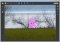 Photoupz image 5 thumbnail