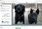 Picasa image 3 thumbnail