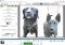 Picasa image 4 thumbnail