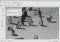 PicEdit image 1 thumbnail
