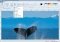 PicPick image 1 thumbnail