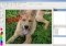 Pinta Linux image 1 thumbnail