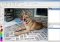 Pinta Linux image 2 thumbnail